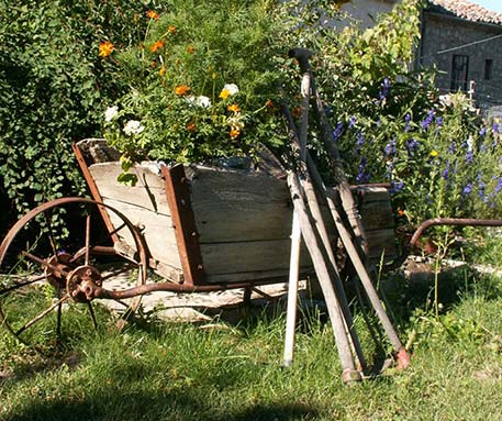 Votre horticulteur adhérent de la marque Hautes-Alpes Naturellement